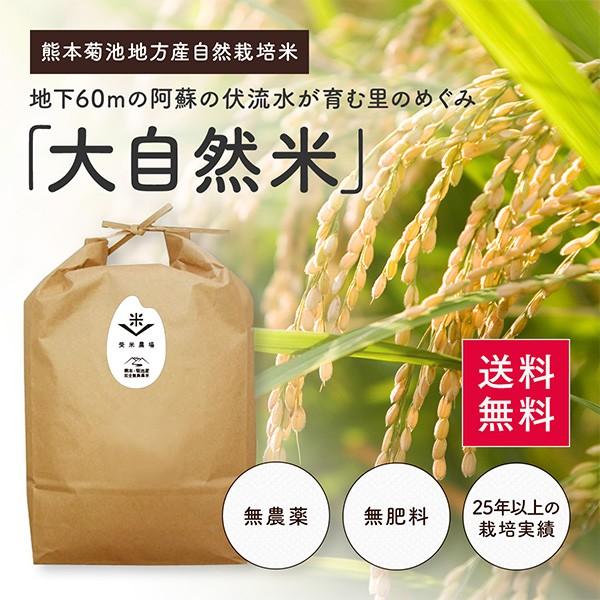 熊本県完全無農薬・肥料不使用　玄米10kg　送料無料