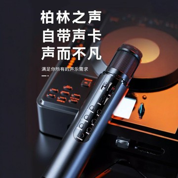 {可打統編 超低價}柏林之聲藍牙話筒音響一體k歌專用無線唱歌神器帶聲卡全能麥克風