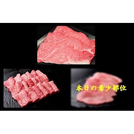 ふるさと納税 飛騨牛肩ロース・赤身・本日の希少部位焼肉セット 各470g  牛肉 国産 ブランド牛 岐阜県下呂市