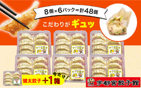 「宇都宮餃子館」のチーズ餃子 8個入り×6パック(計48個)