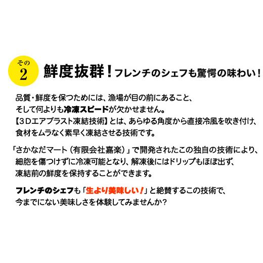 ふるさと納税 北海道 鹿部町 北海道産 冷凍鮮魚セット 最大3.2kg 「漁師応援プロジェクト！」 下処理済み 冷凍 鮮魚 海鮮 海産 地元