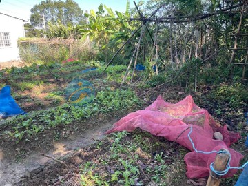 南庄臨路美農地｜苗栗縣南庄鄉員林段