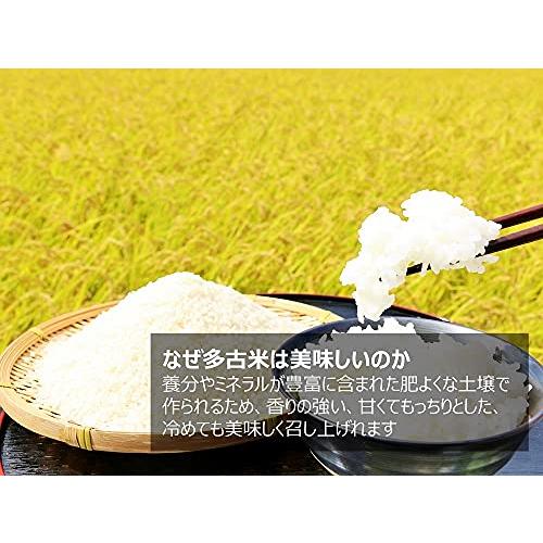 多古米 白米 コシヒカリ 10kg 令和5年産 千葉県産 新米 美味しい お米 高級米（白米10kg）