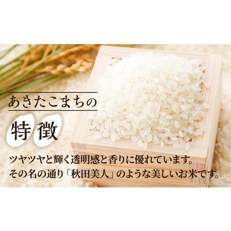 ふるさと納税 定期便 無洗米 令和5年産 あきたこまち 5kg×1袋 3ヶ月連続発送（合計 15kg） 秋田食糧卸販売 秋田県男鹿市