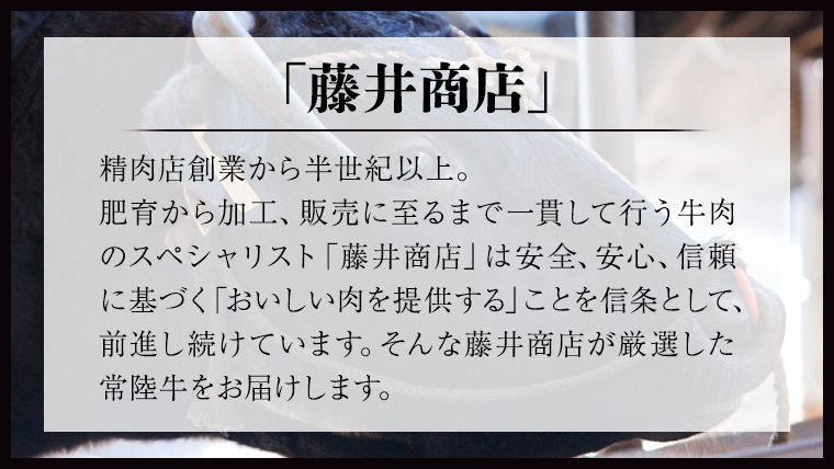 ヒレブロック1本3kg 茨城県共通返礼品 肉 A5 国産 焼肉 業務用 [BM026us]