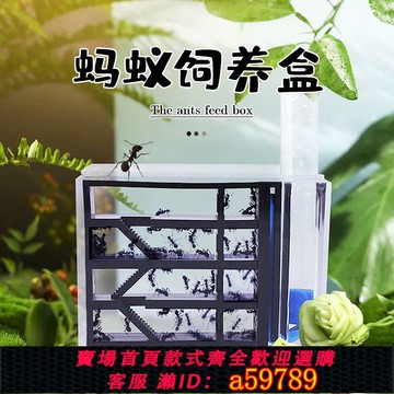 【台灣公司 可打統編】【自動保濕】螞蟻蟻巢幼兒園養殖小動物螞蟻工坊自動喂水蟻巢家園觀察盒飼養盒