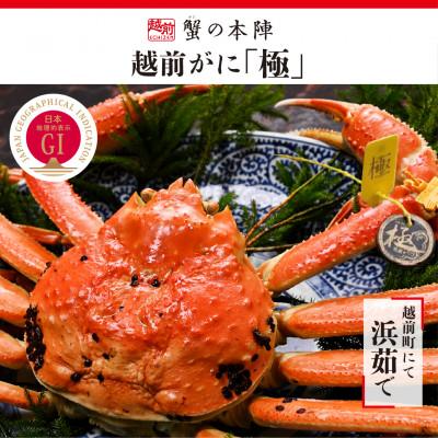 ふるさと納税 越前町 福井県が誇るブランド蟹　浜茹で　11月〜翌3月順次発送