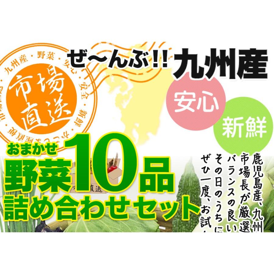 野菜セット 九州産 12品目 詰め合わせ 国産 お試し