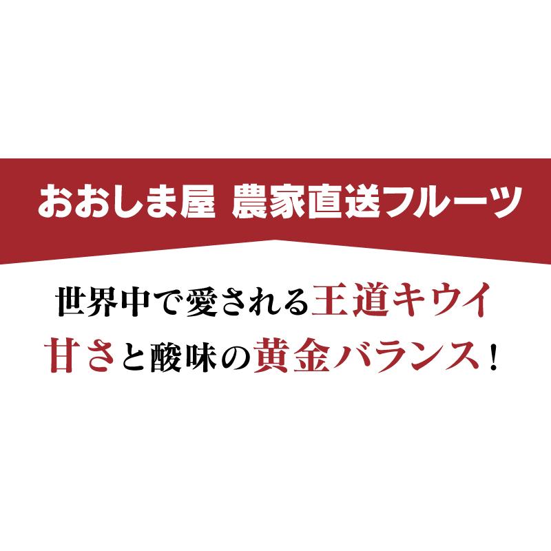 国産 キウイ ヘイワード 送料無料 1kg  グリーンキウイ 熊本産 ＜11月中旬より出荷＞ 農家直送フルーツ 果物 大嶌屋（おおしまや）