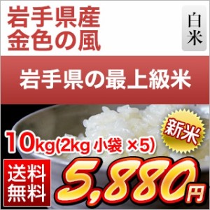 お米 送料無料 白米 岩手県産 金色の風 〈岩手の最高級米 新品種〉 新米 令和5年(2023年)産 10kg 2kg×5袋  【即