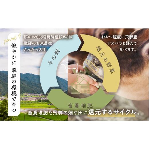 ふるさと納税 岐阜県 飛騨市 牧成舎 ミルクと砂糖、乳酸菌だけの飲むヨーグルト6本 のむヨーグルト 乳製品