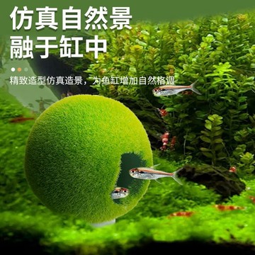 🔥臺灣出貨-熱賣中🔥鱼小刚仿真藻球苔藓球鱼缸躲避屋吸盘式鹦鹉繁殖罐产卵虾鱼缸摆件