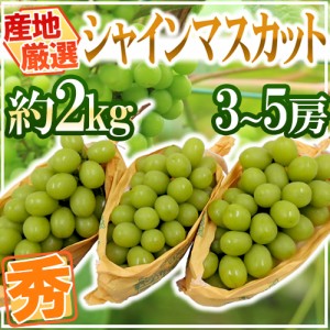 ”シャインマスカット” 秀品 3～5房 約2kg 産地厳選 送料無料