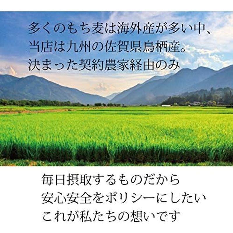 雑穀 国産 無農薬 紫もち麦 大粒選別品 令和4年度産 (殻付き玄麦タイプ(固め), 2kg)