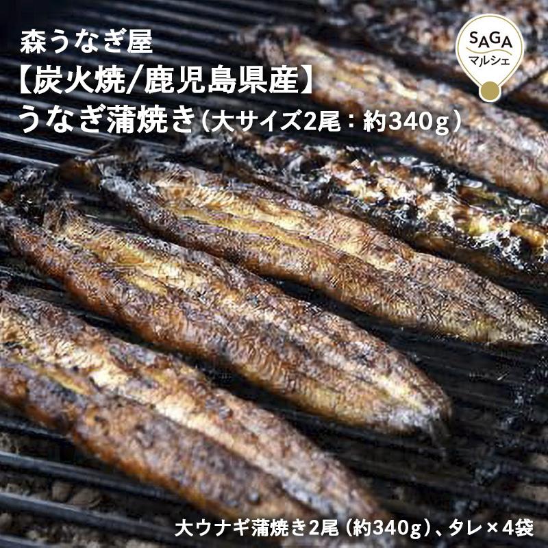 うなぎ蒲焼き（大サイズ 2尾：約340ｇ）森うなぎ屋