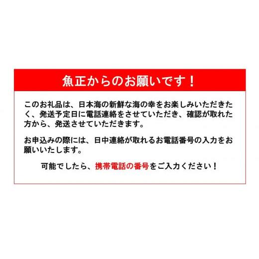 ふるさと納税 新潟県 糸魚川市 日本海直送 高級鮮魚ボックス 旬の魚詰め合せ 魚のプロが選んだ厳選魚  新潟 糸魚川 能生漁港から朝獲れ新鮮な魚をお届け 生 (…