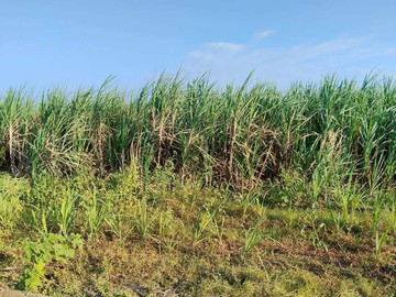 安南北興段近重劃區增值潛力都內農地｜台南市安南區北興段