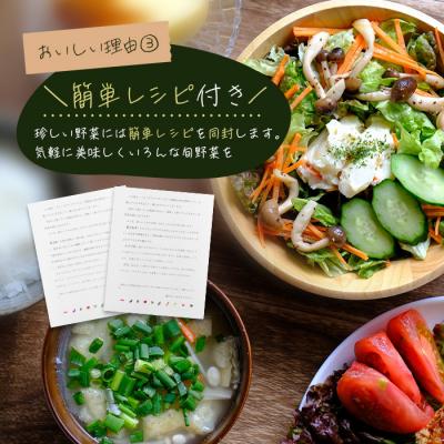 ふるさと納税 淡路市 淡路島の旬の野菜セット