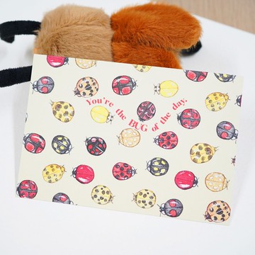 【瓢蟲小姐 - You're the BUG of the Day】水彩插畫 明信片