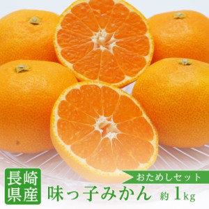 お試しセット 送料無料 長崎県産 西海 味っ子みかん 2Sサイズ 約1kg 味っ子 西海 みかん 送料無料 みかん 糖度 小粒みかん 高糖度 みかん