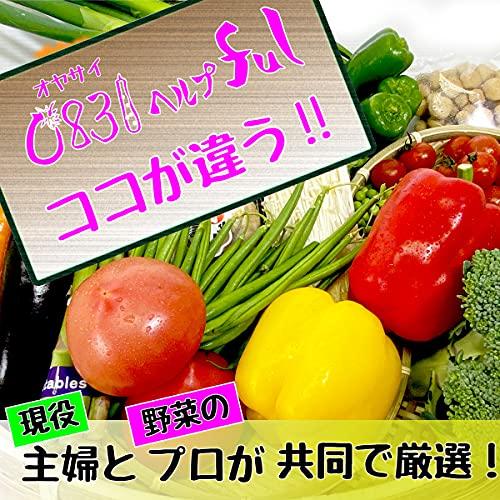 新鮮お野菜 12品以上 野菜セット オマケ4〜5品付き 九州市場から直送 野菜詰め合わせ