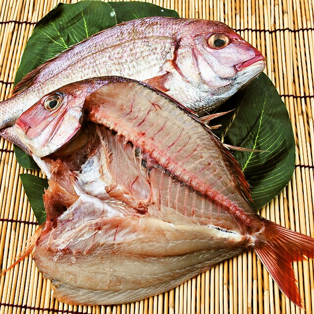 タイ干物　1枚--魚の王様「タイ」の干物です。塩焼きよりも美味いかも!!