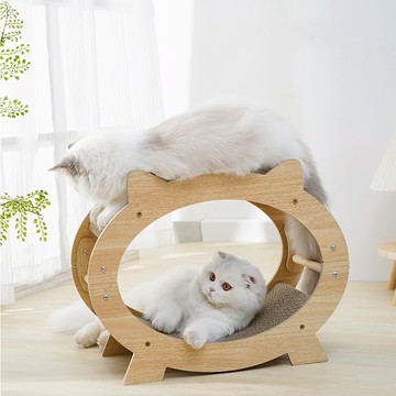 【喵仙兒】迷你電視機貓抓窩