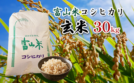 令和5年度　富山米　コシヒカリ（玄米）30kg 関口農産 富山県魚津市