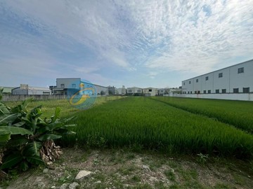 歸仁大人廟特農約1分地(0117261)｜台南市歸仁區媽祖廟段二小段
