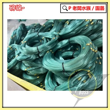 P老闆漁具~特價出清 釣魚線 硬線 磅線 船釣中繼線 路亞前導線 硬線 尼龍線 鹿角蕨綁線
