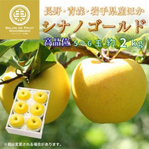 [予約 12月1日-12月20日の納品] シナノゴールド 約 2kg 5-6玉 大玉 秋ギフト 長野 青森 岩手県産他 りんご 林檎 冬ギフト お歳暮 御歳暮