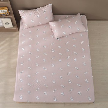 【PEANUTS 史努比聯名款】60支天絲織棉床包枕套組－恬靜時刻