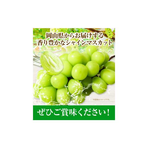 ふるさと納税 岡山県 浅口市 シャインマスカット 1房 700g ウィズフラワーホールディングス《9月上旬-10月中旬頃出荷》岡山県 浅口市 ぶど…