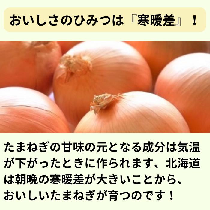 北海道産 たまねぎ Ｌサイズ 20kg (10kg箱×2箱）