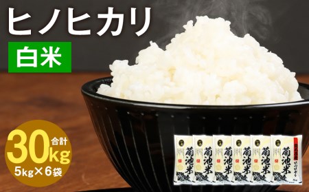 熊本県菊池産 ヒノヒカリ 5kg×6袋 計30kg 精米 お米 白米 令和5年産