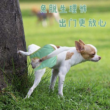 寵物 撒尿免脫寵物生理褲防狼褲狗狗生理褲月經褲內褲絕育服公狗禮貌帶 生理褲 禮貌帶 出貨 禮貌帶公狗 犬 底褲