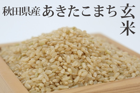 《定期便4ヶ月》 あきたこまち 10kg(10kg×1袋)×4回 計40kg  新米 令和5年産（9月下旬より発送予定）