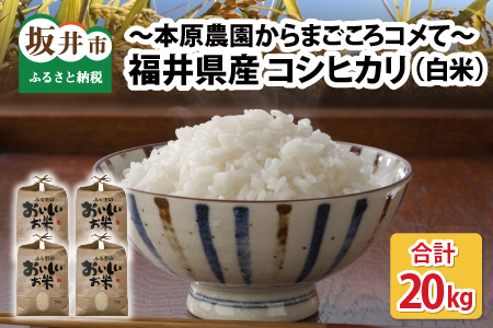 福井県産 コシヒカリ20kg ～本原農園からまごころコメて～ [B-8941_01]