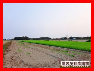 後港庄內臨路方正農地｜台南市七股區後港東段