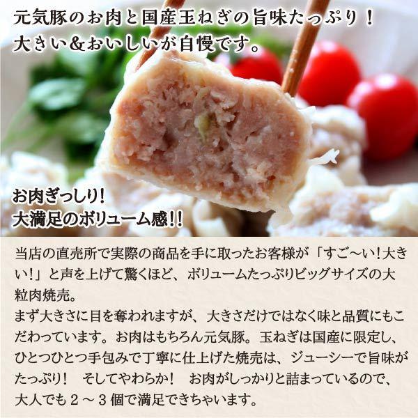 焼売お取り寄せ 焼売 冷凍 焼売冷凍食品　元気豚 大粒肉焼売 50g×6個入