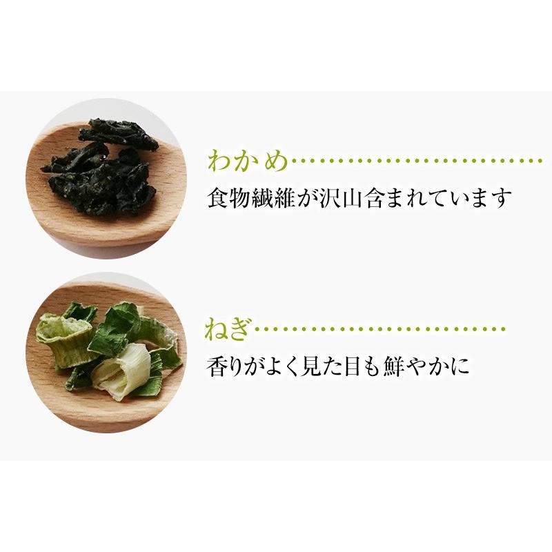 昆布 海藻 がごめ昆布 わかめ とろろ昆布入 即席 お試し 海藻スープ インスタント 食物繊維 食品 たっぷり15杯分 とろりんスープ（プレーン） 60g×1袋