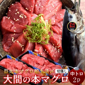 大間マグロ 切り落とし 訳あり［中トロ］200g×2パック |青森県大間産 大間のまぐろ 本マグロ 刺身 規格外 切り落し［秋の味覚 ギフト］