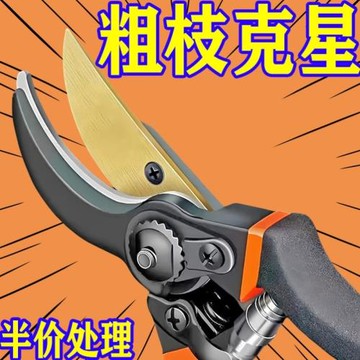 鋼材中國制作強力園藝剪不銹鋼省力修剪枝果樹粗枝樹枝剪子