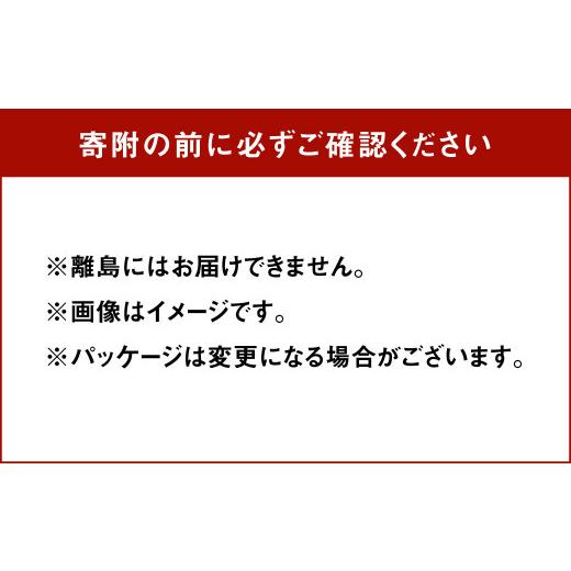 ふるさと納税 福岡県 大刀洗町 HOKO カマンベールチーズ入り 国産 オニオンスープ 4食入り×10袋