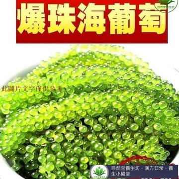 📢超惠購💯新鮮好貨🔥新鮮海葡萄 100g/袋 長壽菜 海藻菜 海菜 特產小喫