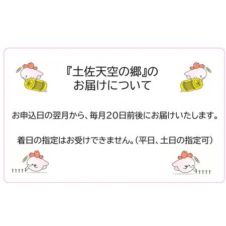 ふるさと納税 ★令和5年産★2010年・2016年 お米日本一コンテスト inしずおか 特別最高金賞受賞 土佐天空の郷　にこまる 2kg　毎月お届け全12回 高知県本山町