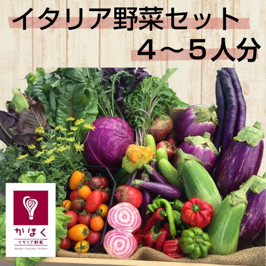 山形県かほくイタリア野菜ファミリーセット 6〜8種類入り 送料無料