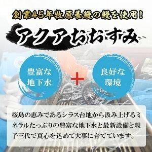 ふるさと納税 東串良町のうなぎ炭火蒲焼、白焼(無頭)(2尾・計約380g・タレ、山椒付) 鹿児島県東串良町