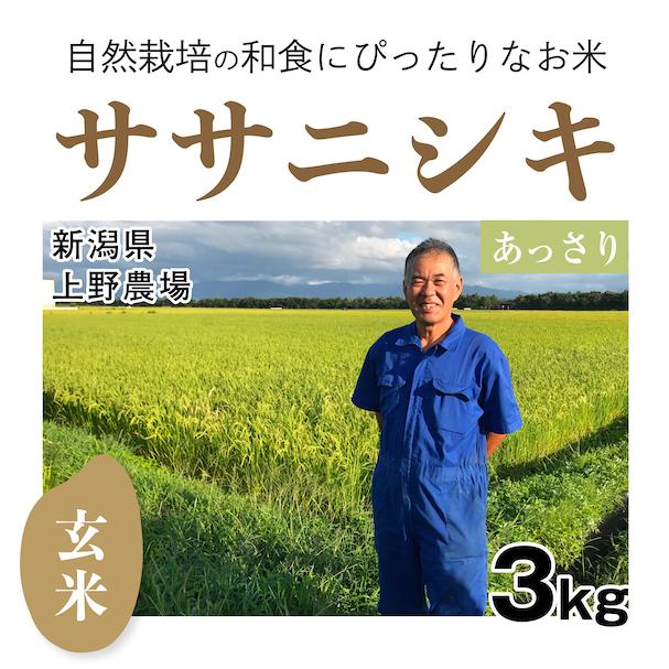 玄米3kg「自然栽培ササニシキ」(新潟県)上野農場　令和5年産