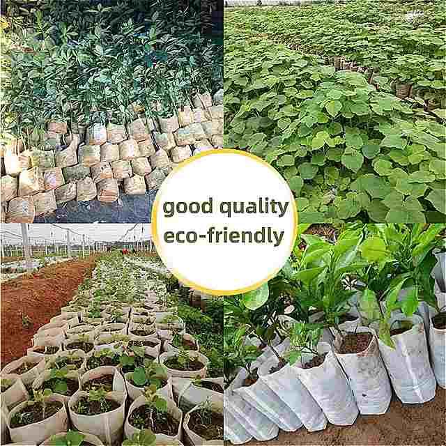 苗床用バッグ 100個 植物用 生分解性 不織布 保育園用 環境にやさしい0